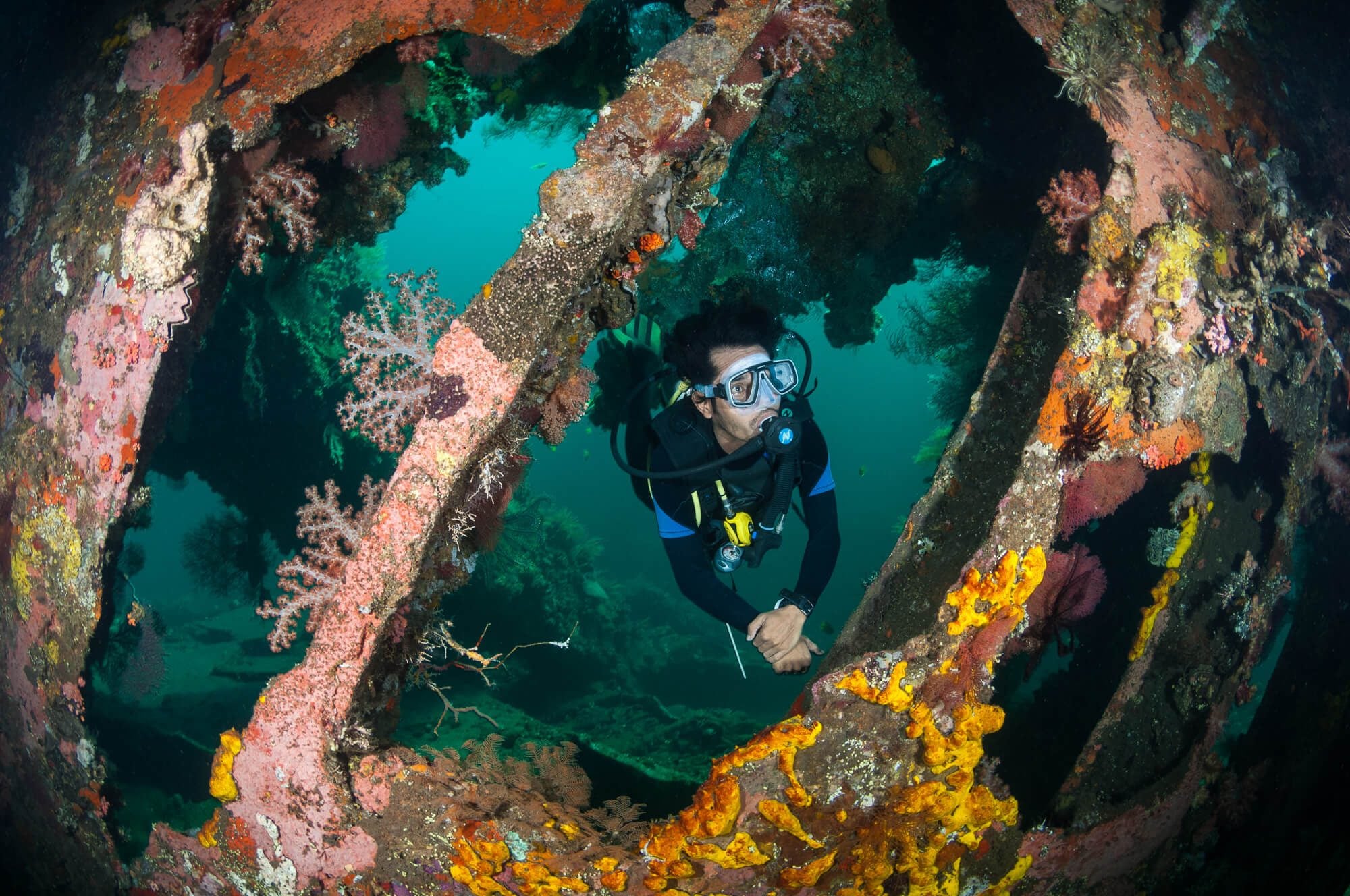 Bali Underwater Paradise: Shipwreck & Mola Mola Diving Expedition