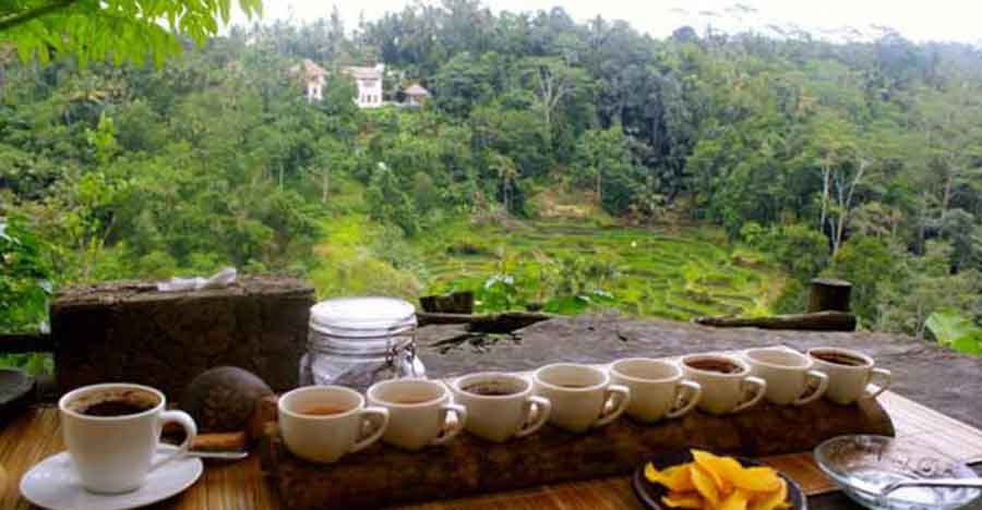 Bali's Aromatic Journey: Coffee & Chocolate Crafting Experience
