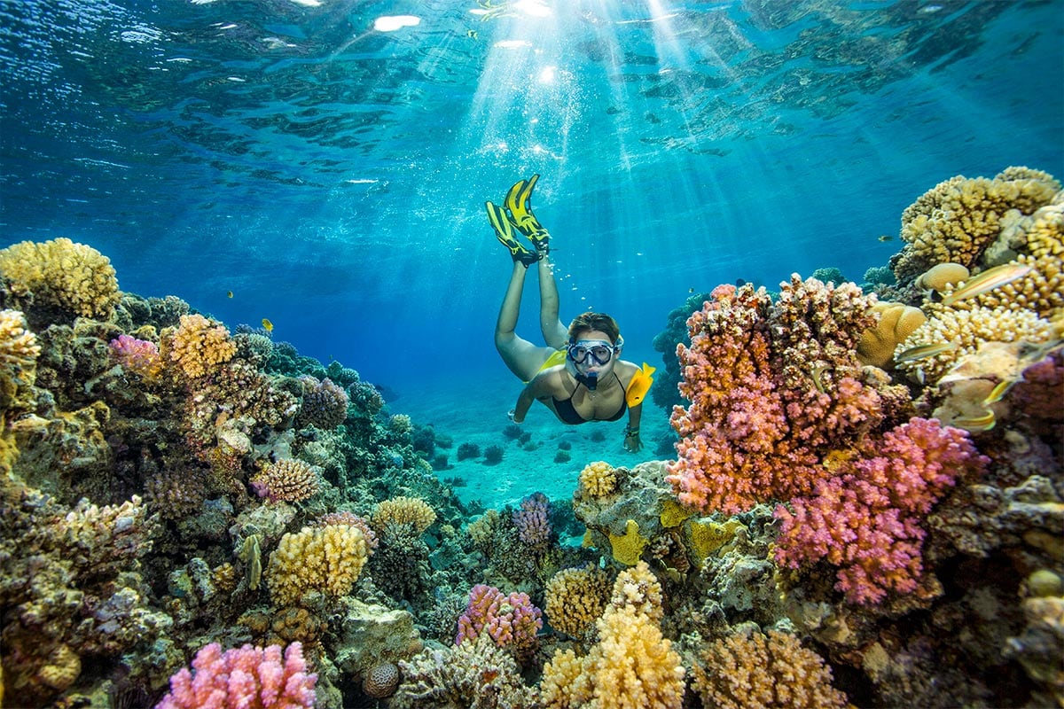 Raja Ampat Premium Dive Expedition: Exploring the World’s Best Reefs