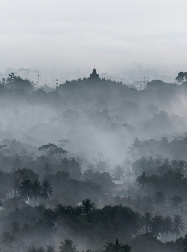 alea-film-zLoHqVU-hlA-unsplash